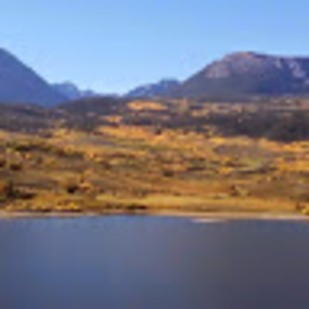 Meet your Posher, Janet